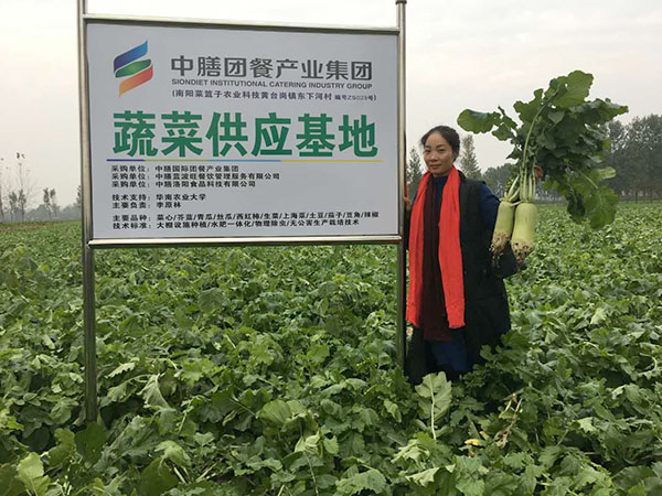 中膳蔬菜供應基地